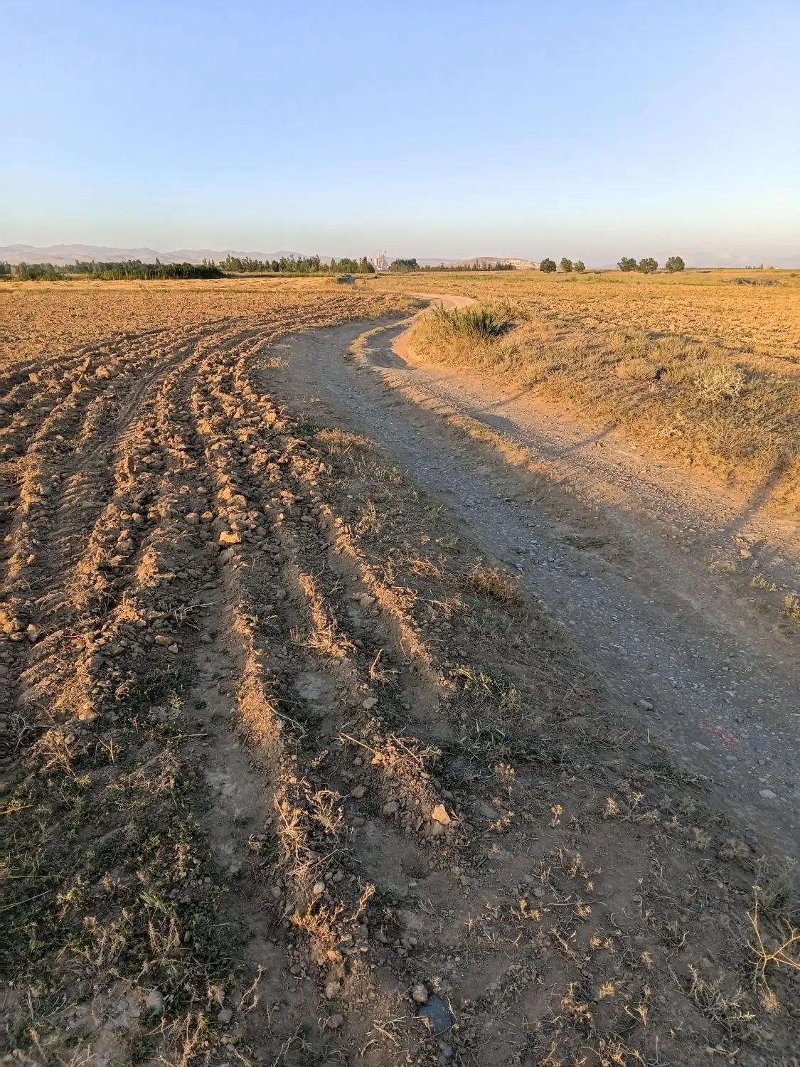 زمین کشاورزی و باغی در روستای نوشنق 7000متر