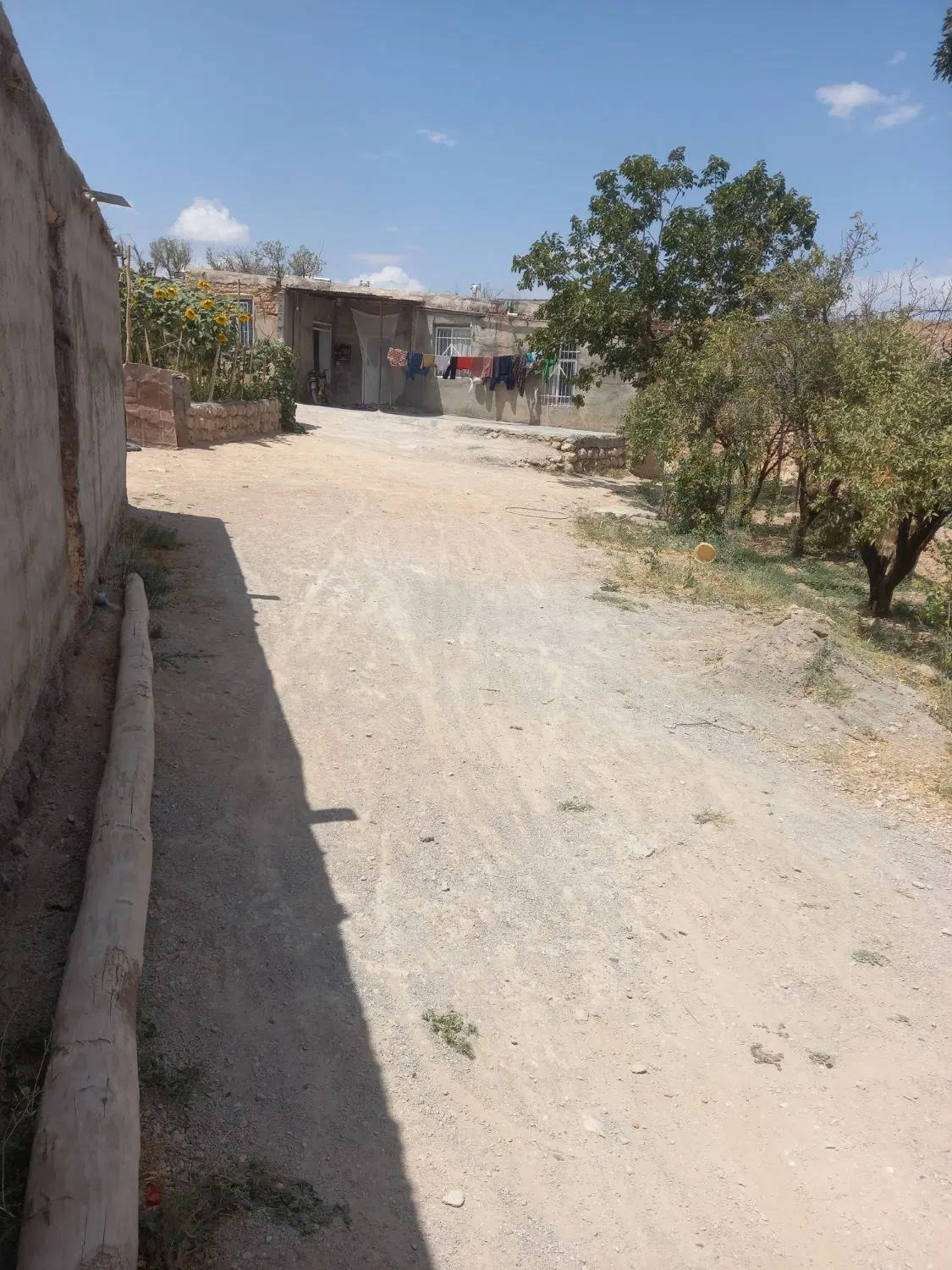 یک حیاط ویلایی
