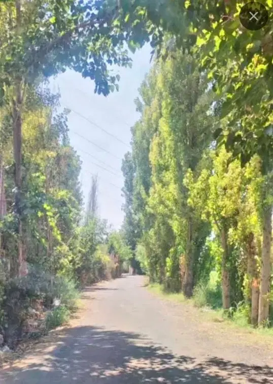 باغ ،باغچه شهرری در بهترین لوکیشن