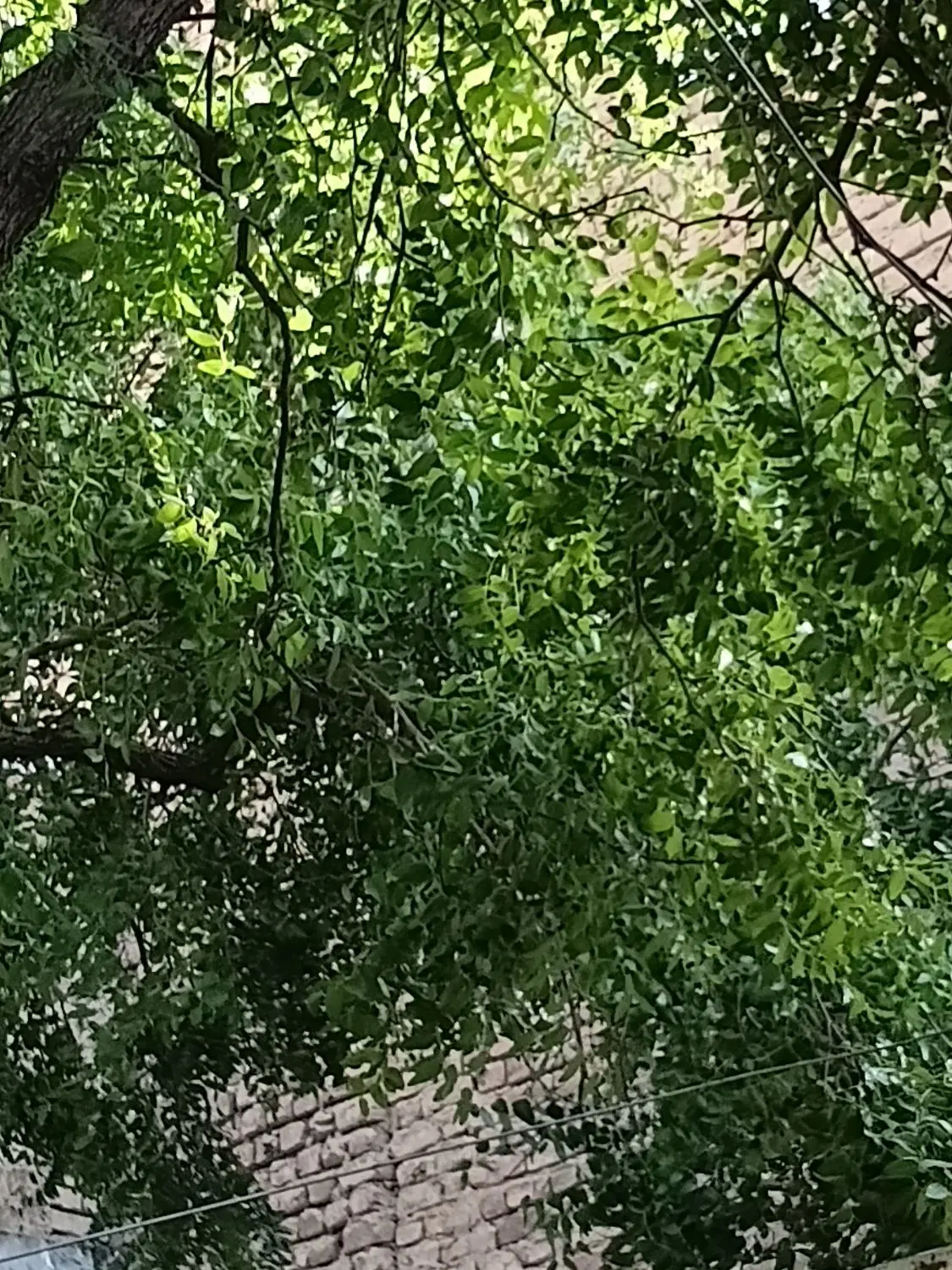 خانه ویلایی کلنگی