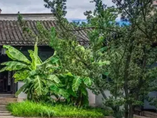 نیازمند همخونه، همخانه