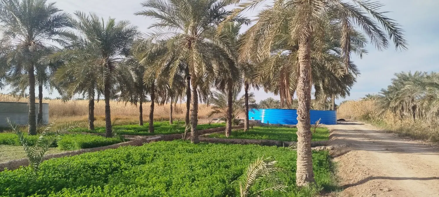 فروش حوضه ماهی پیش ساخته 12متری