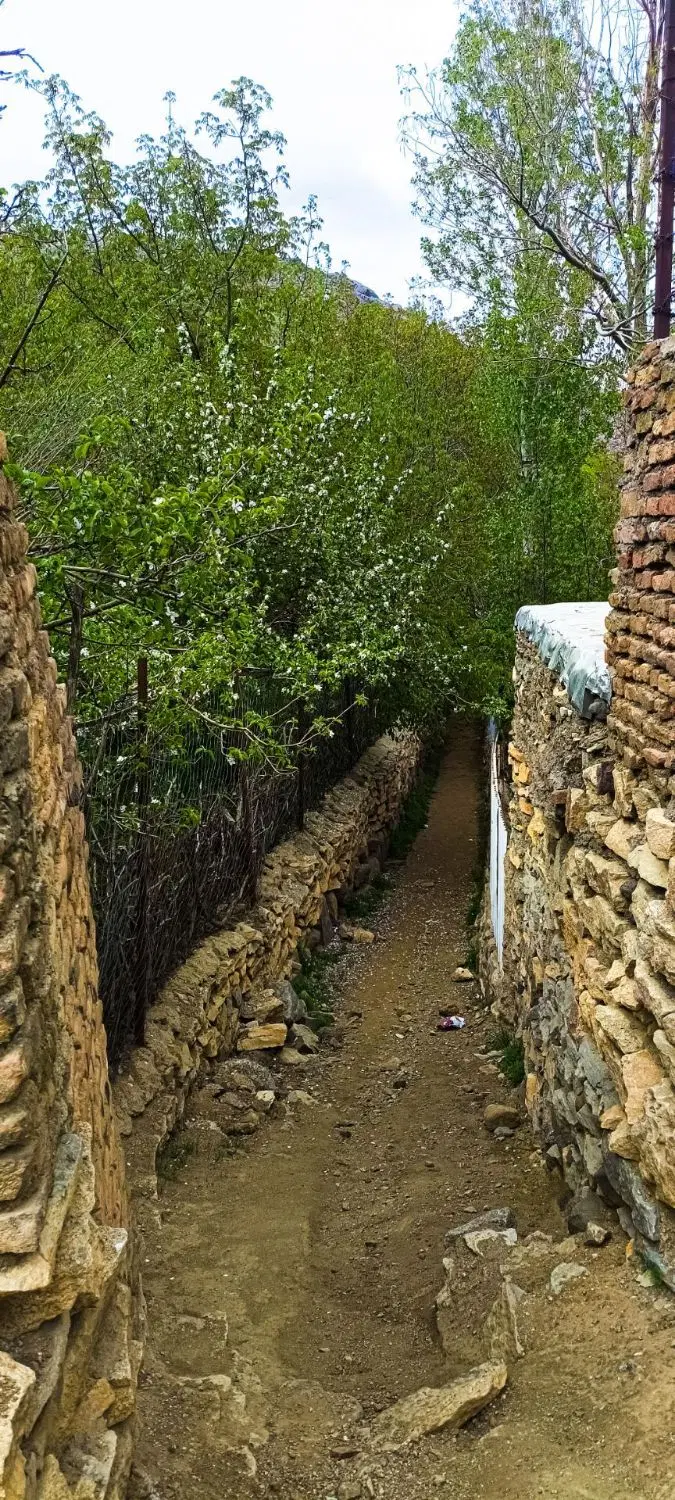 اجاره مغازه چاپارخانه
