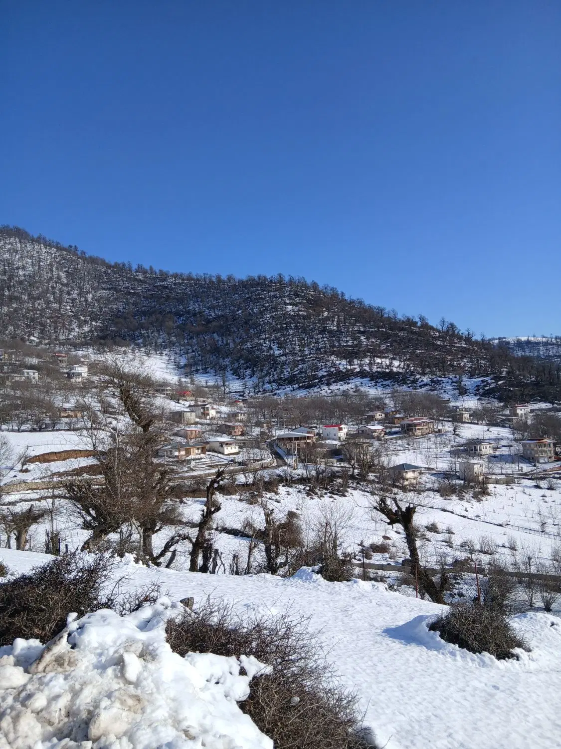 زمین ییلاقی قابل ساخت