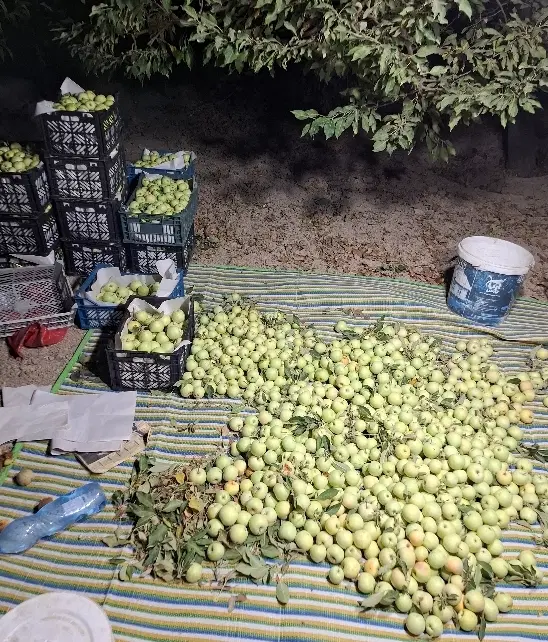 باغ ۲۰۰۰متری