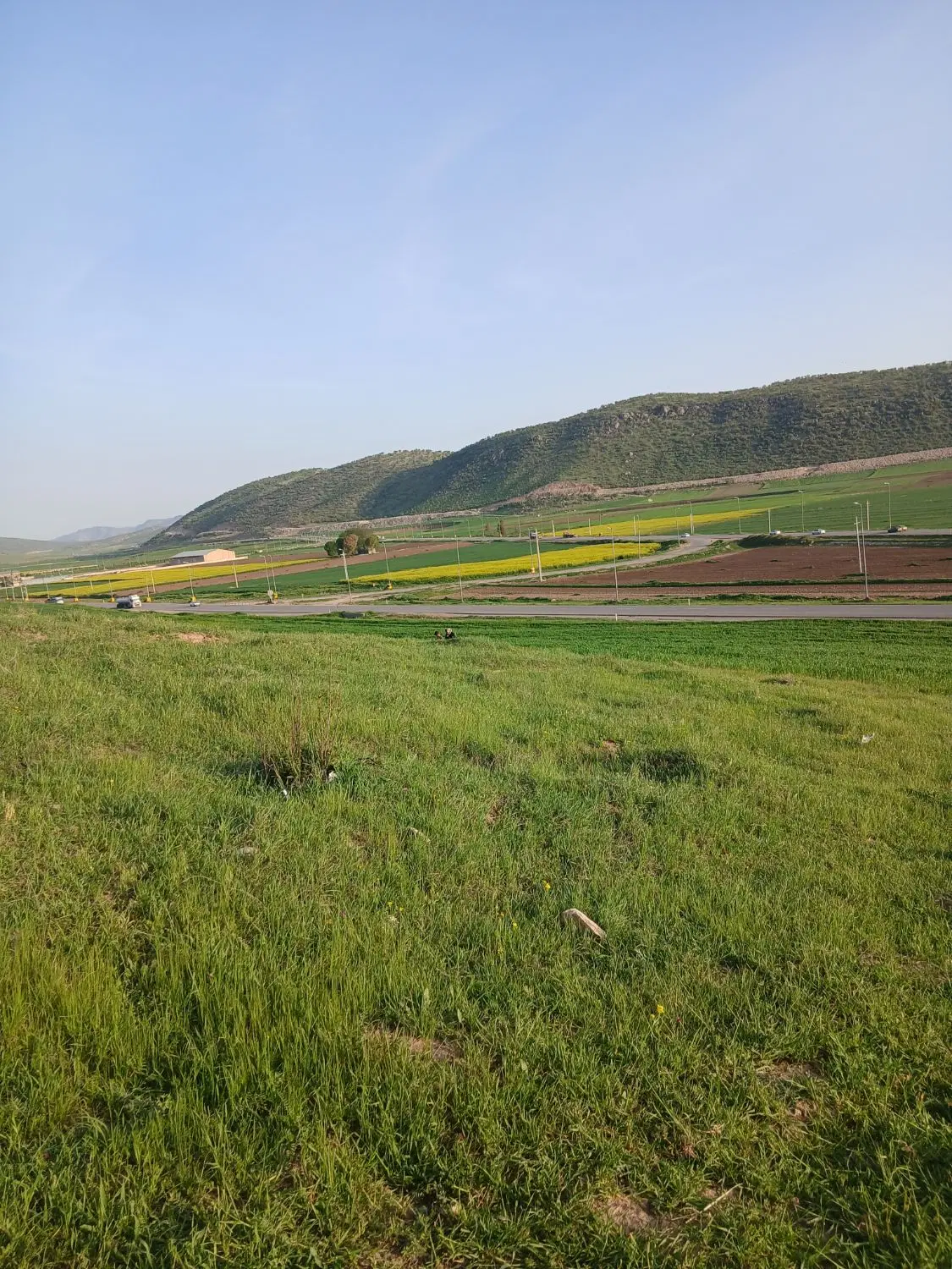زمین مسکن ملی