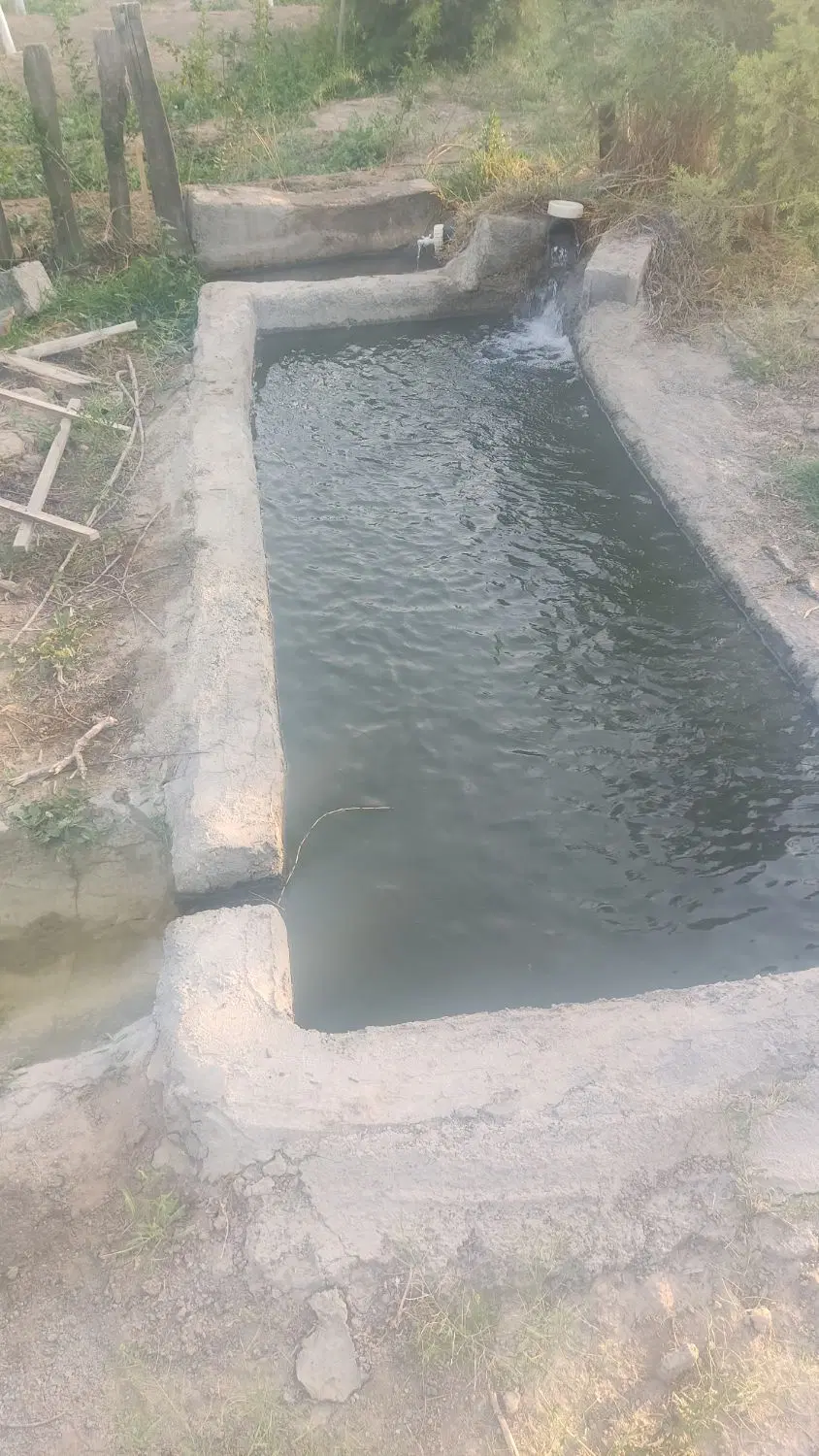 باغچه