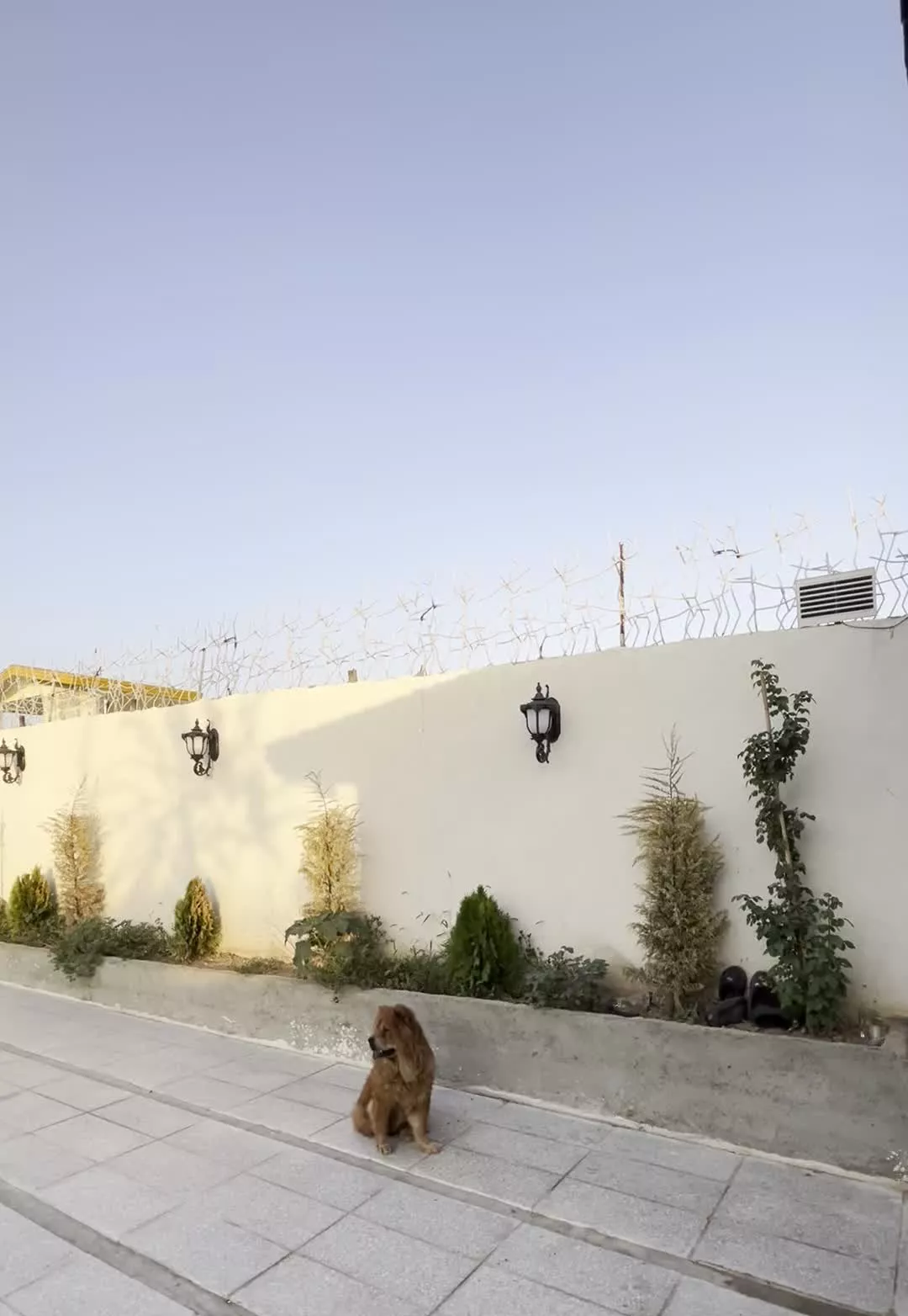 باغ ویلا چهار دیواری