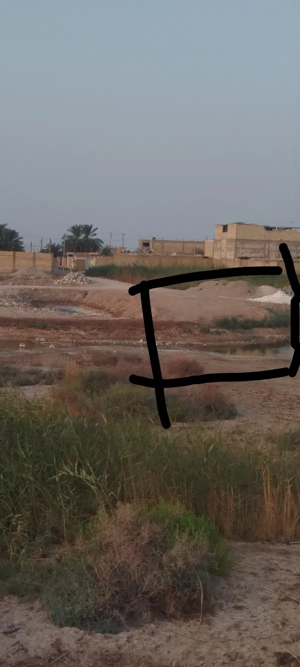 زمین