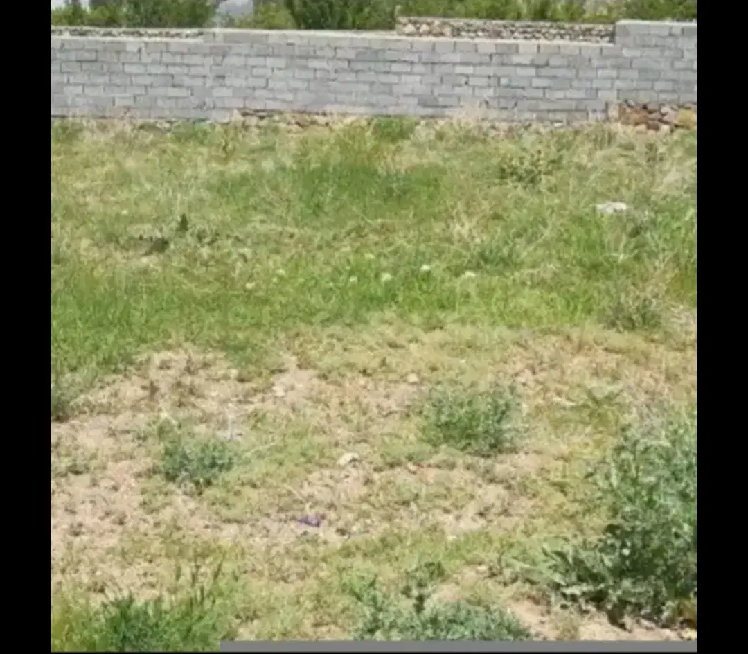 فروش زمین