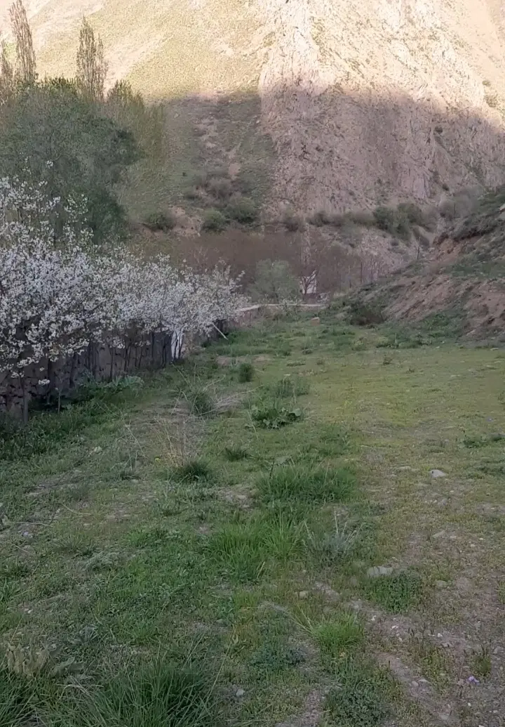 زمین در فشم