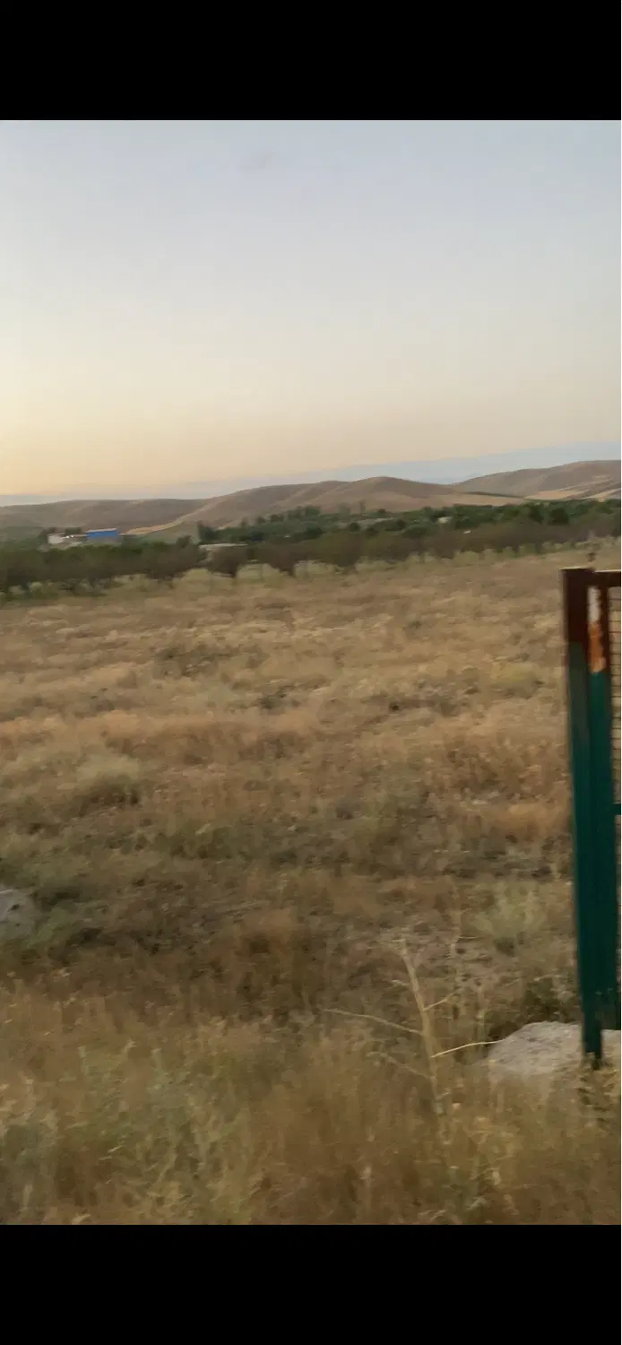 زمین کشاورزی با سند تک برگ