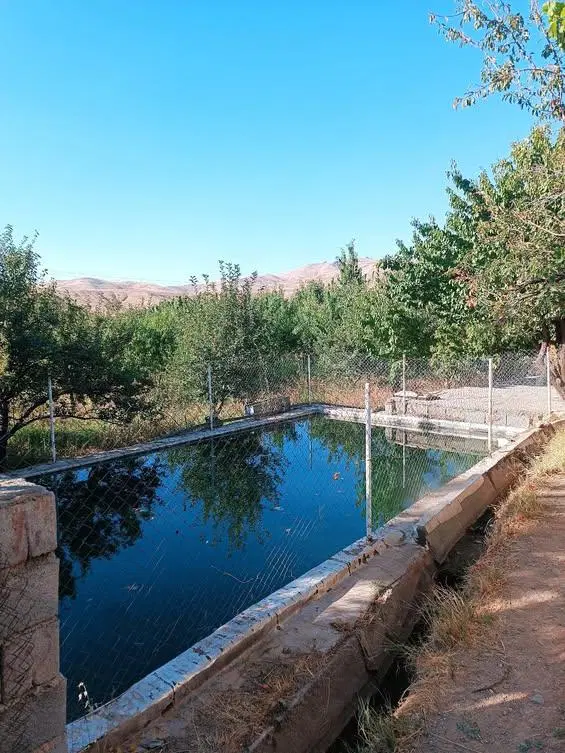 باغ و خانه باغ 2000متری دوراهی قلیان