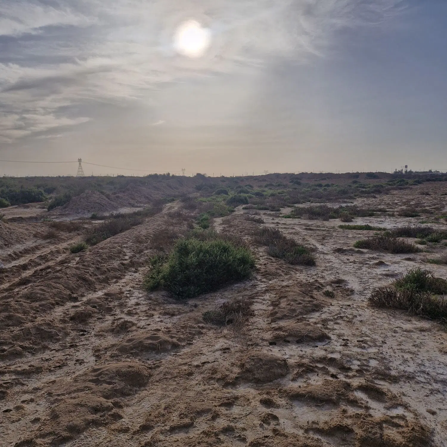 اجاره زمین کشاورزی آبی