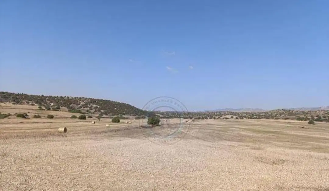 فروش زمین
