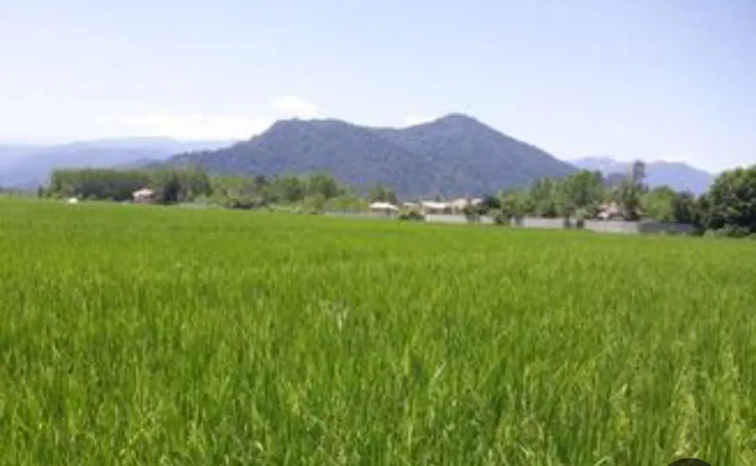 زمین باغی در قلعه حیدر