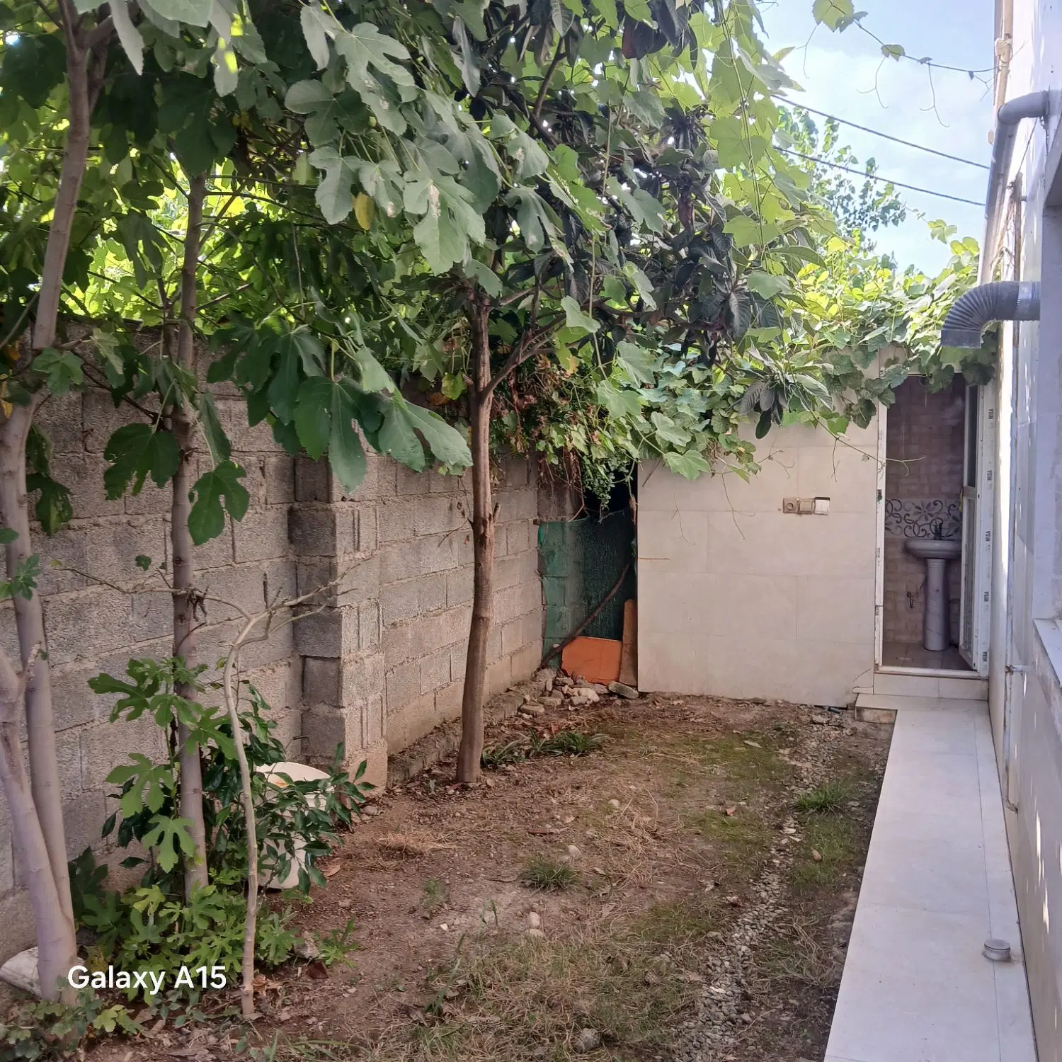 اجاره سوئیت