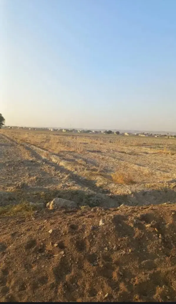 زمین کشاورزی