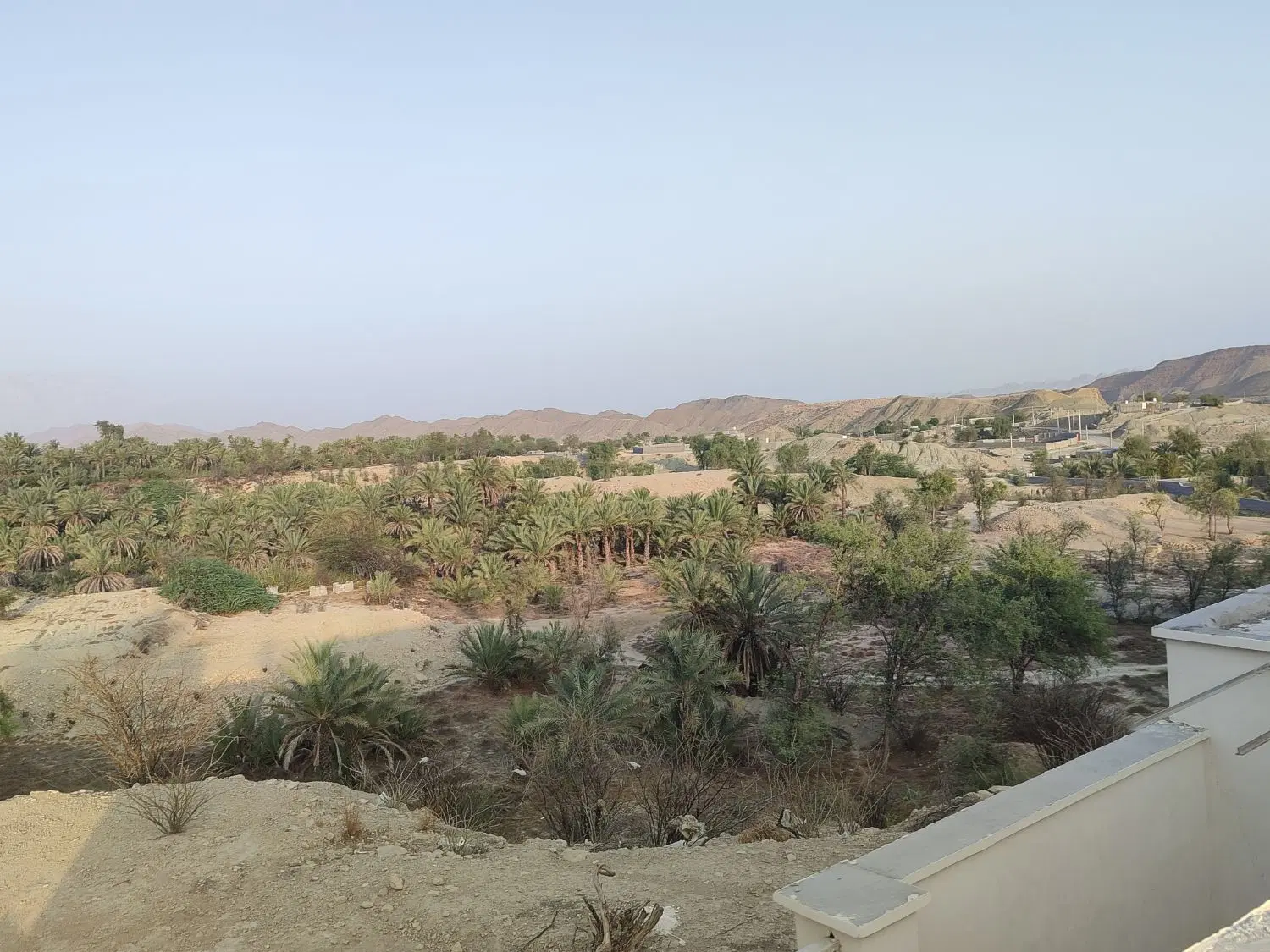 زمین مسکونی