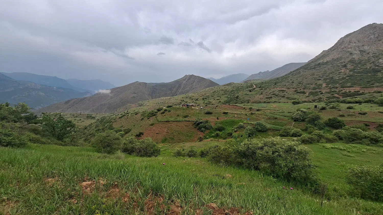 زمین فروشی روستای گدوک