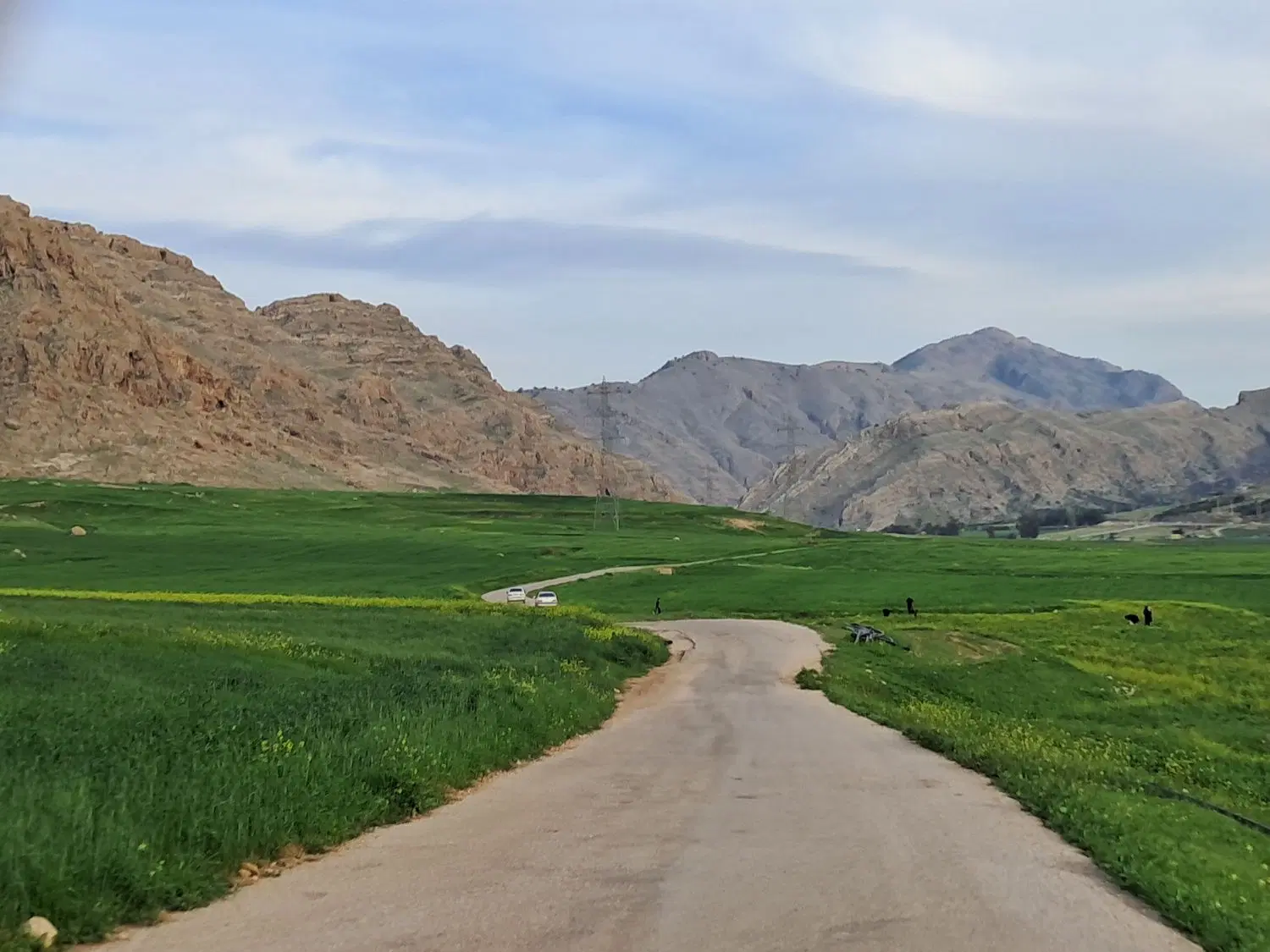 اجاره زمین کشاورزی