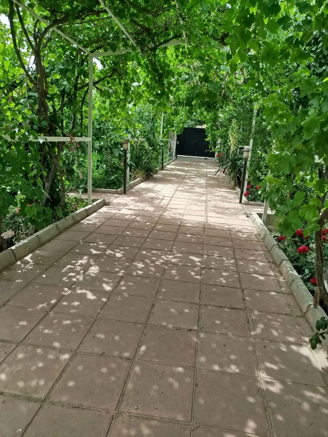 باغچه..درخوشنام