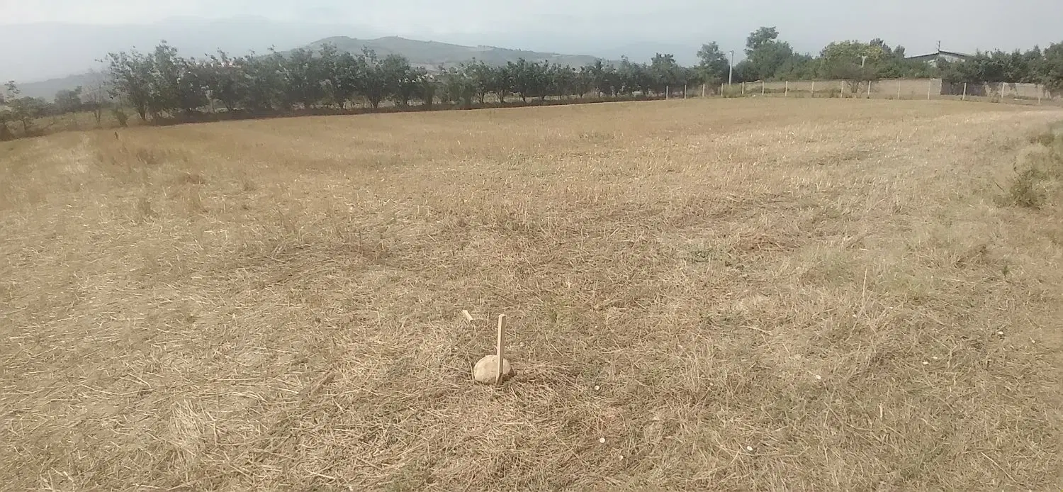 فروش زمین مسکونی در روستای کلاسنگیان