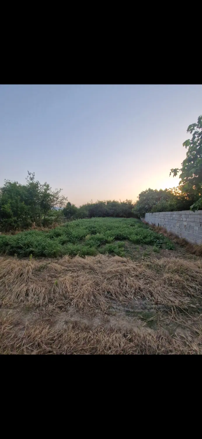 زمین