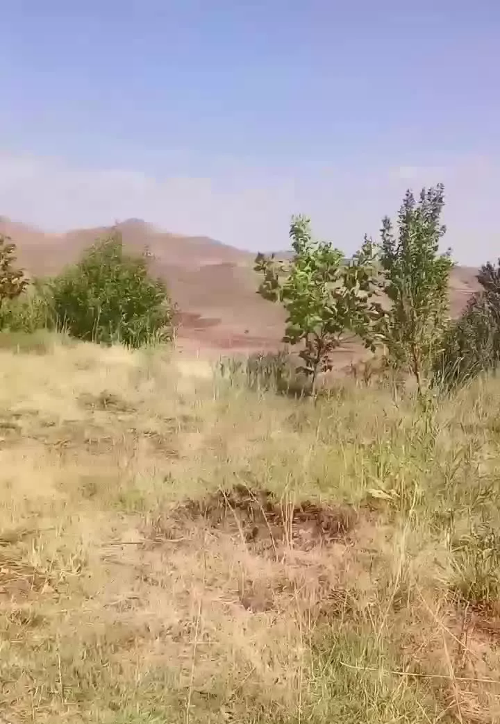 فروش باغ