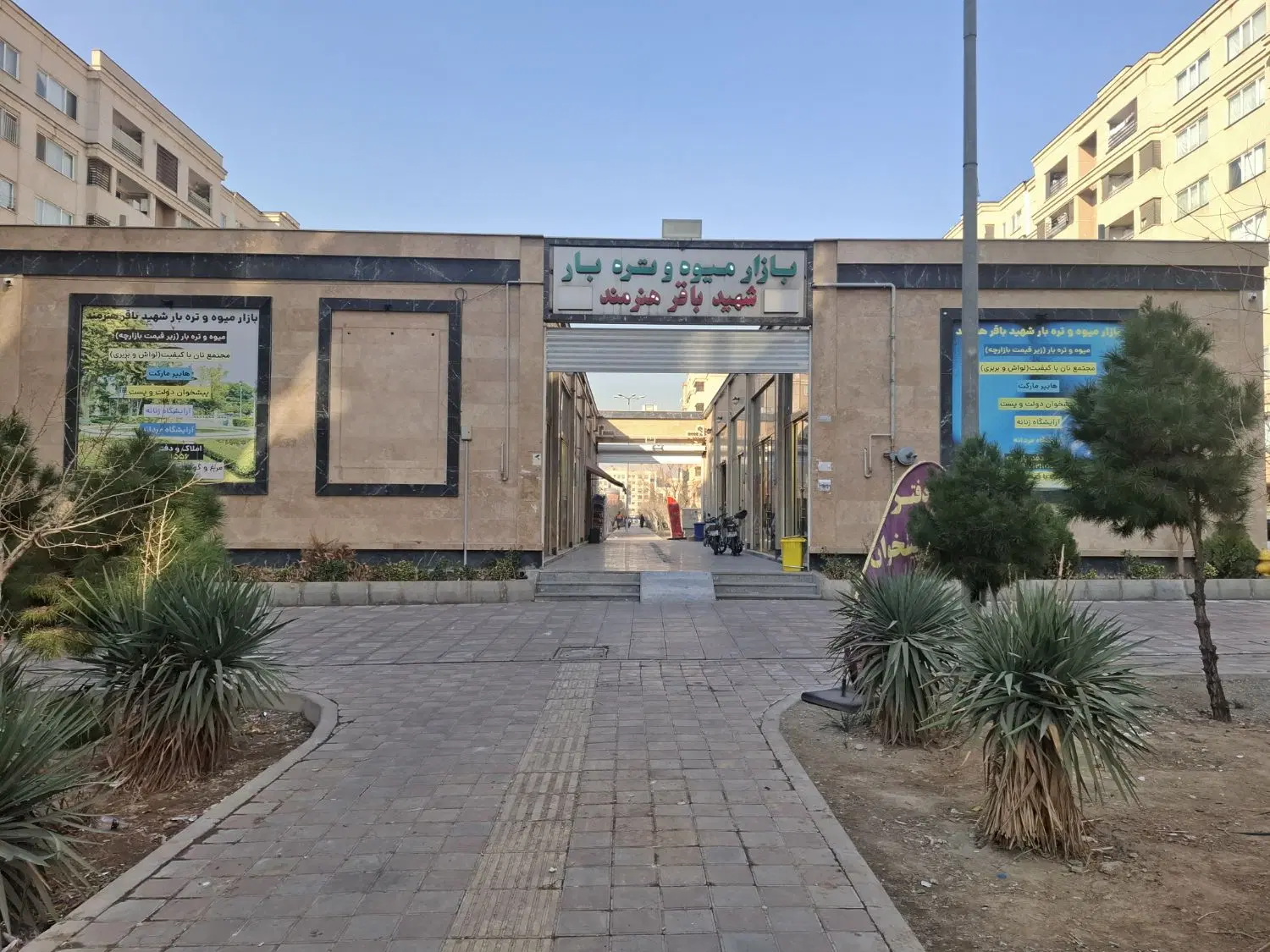 بازار میوه و تر بار شهید باقر هنرمند ۷