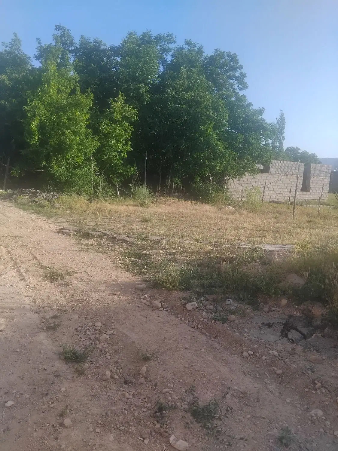 فروش زمین