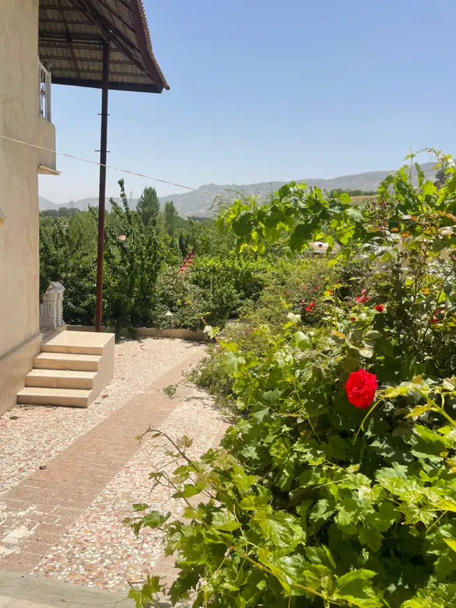 ویلای دشت ارژن