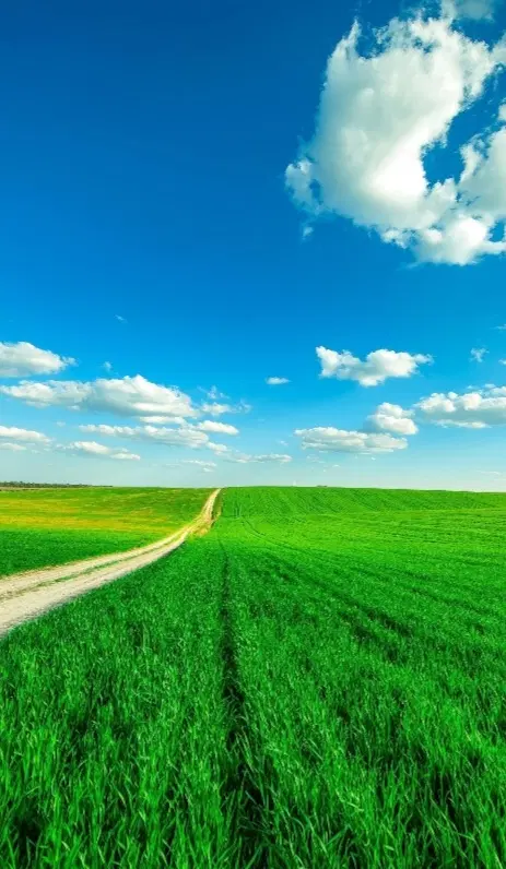 زمین مسکونی