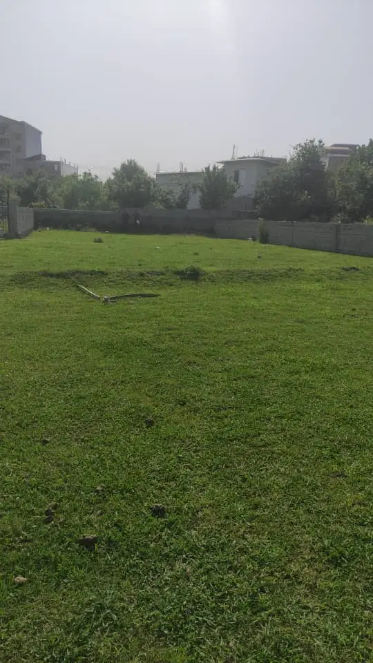 731متر زمین مسکونی گیلان
