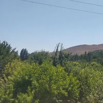 ویلا باغ لاکچری حسن ابدال