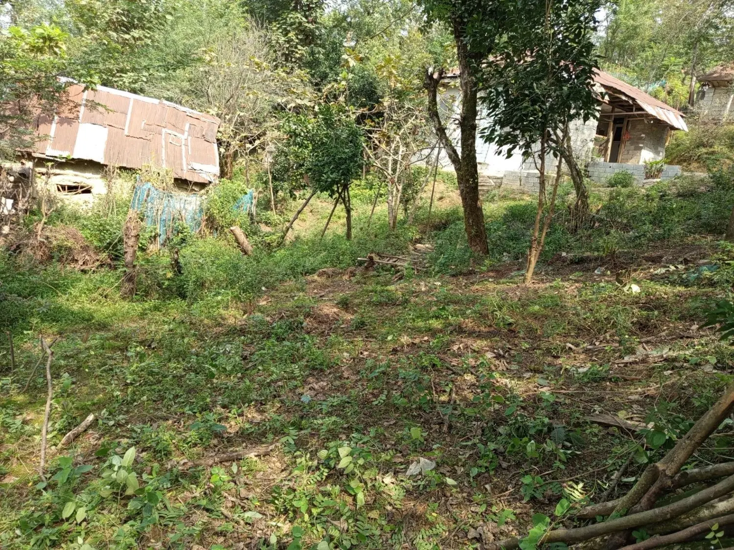 ۸۲۳ متر زمین با کاربری مسکونی عالی برای ویلا سازی