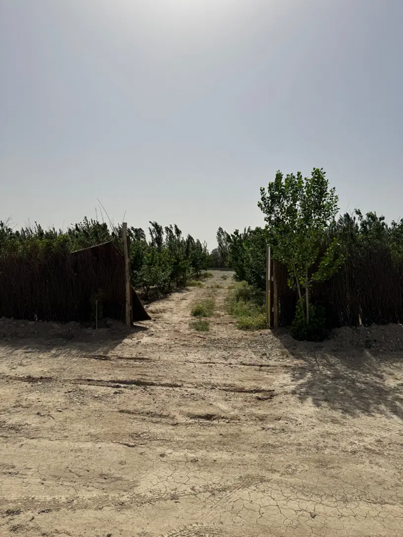 باغچه شمس آباد فیروز بهرام