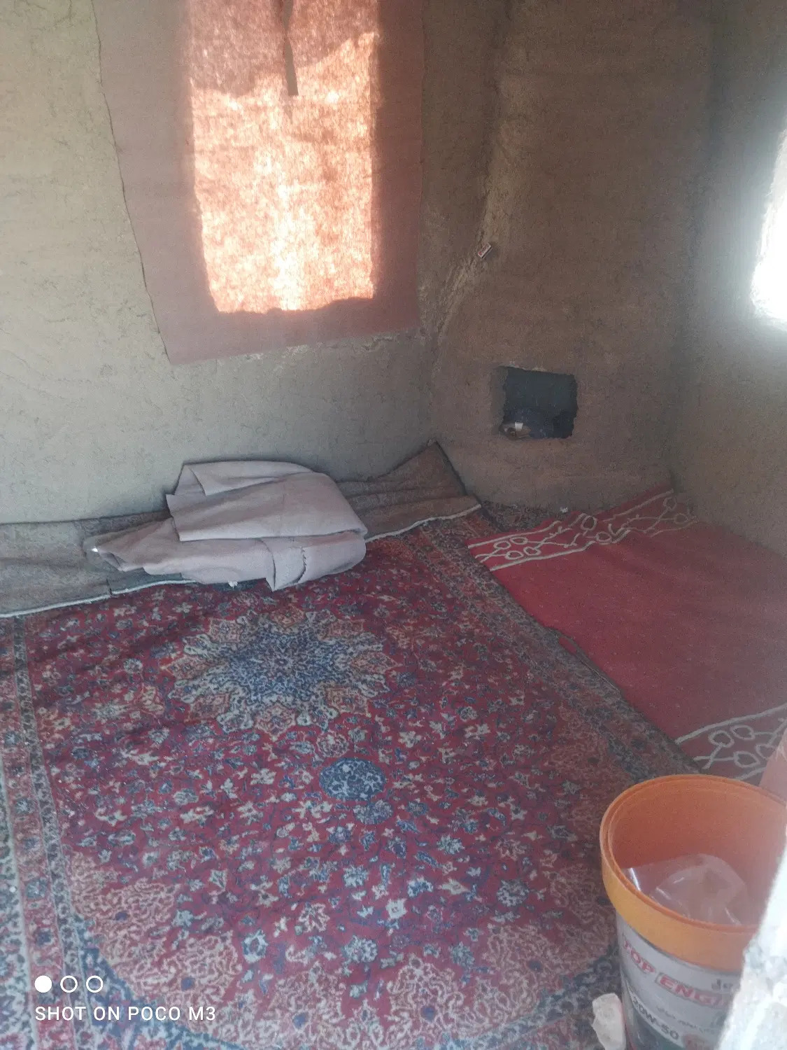زمین باغی