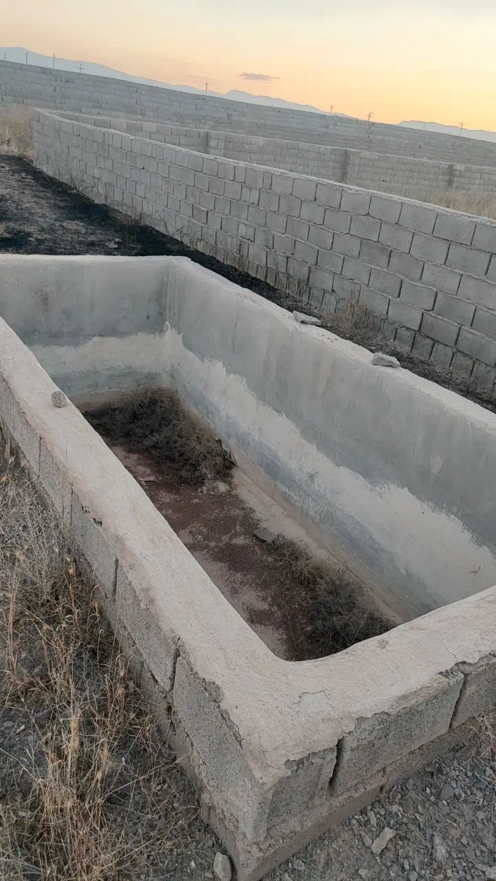 زمین کاهو