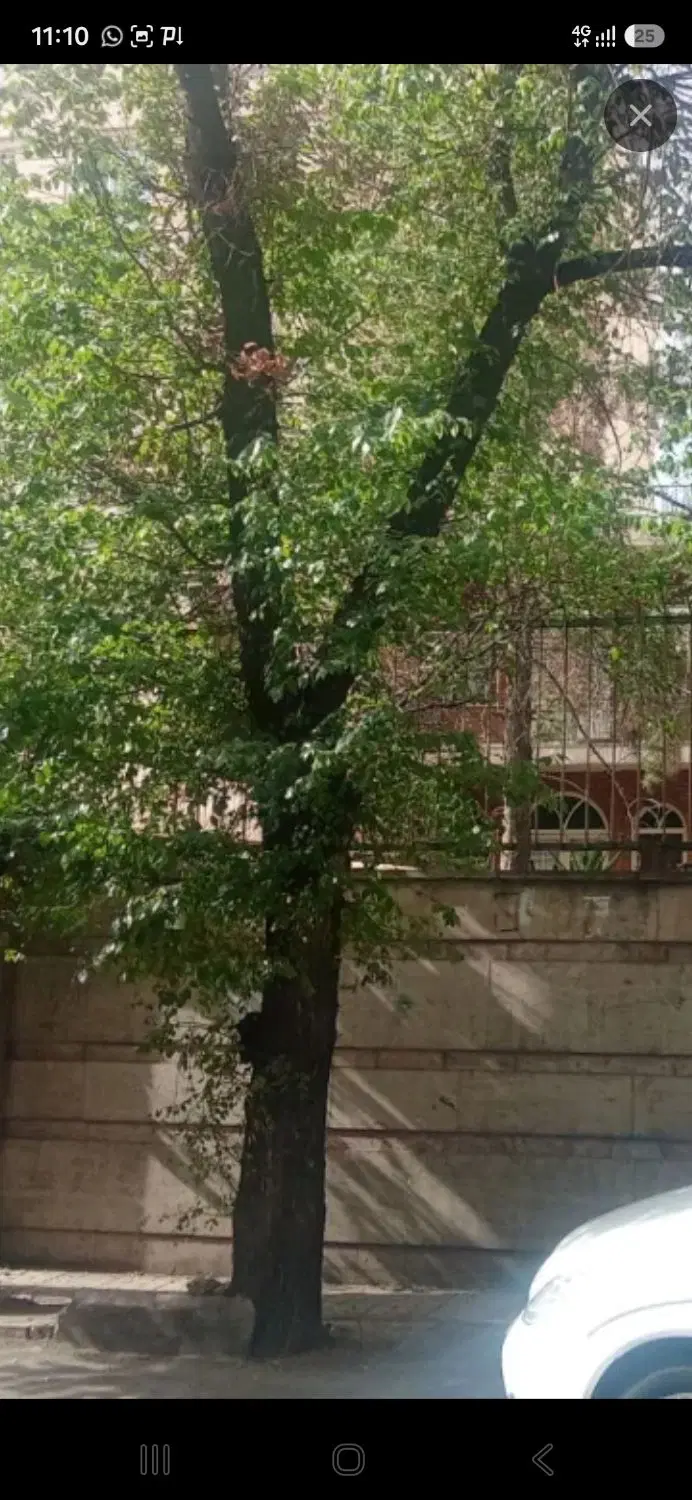 منزل کلنگی ۲۳۰۰ متر معاوضه