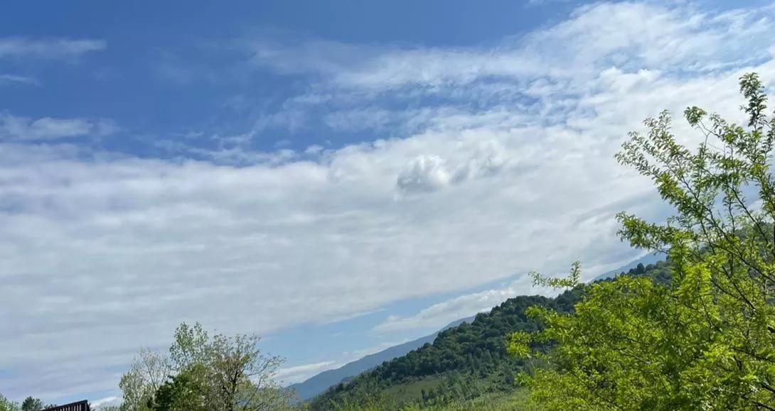 اجاره کلبه سوئیسی جنگلی شفت