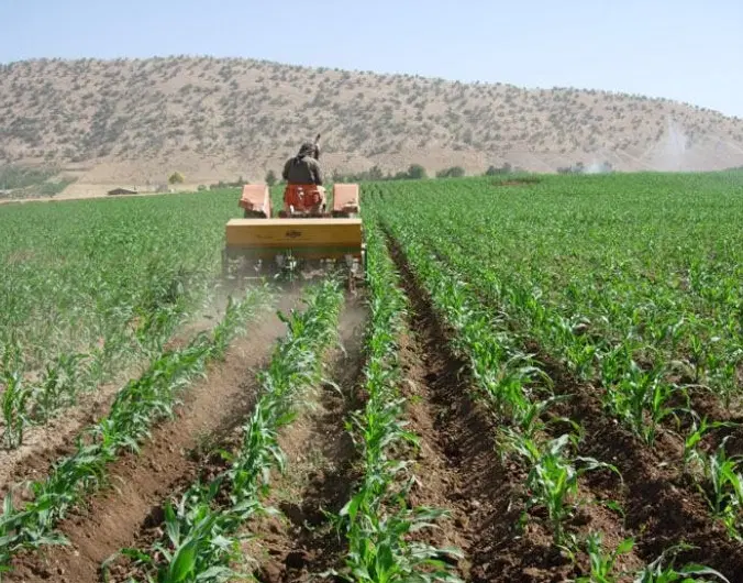 زمین باغشهری آب‌پرده بعدازکودیان