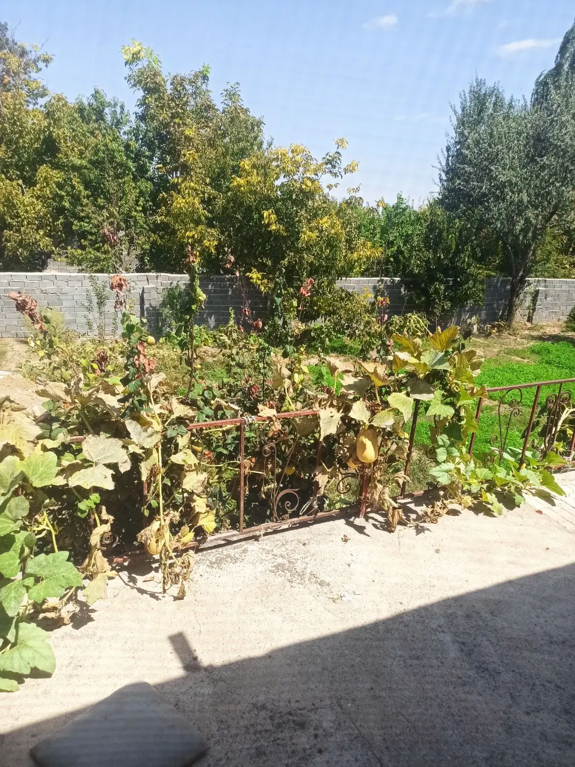 فروش مسکن ملی