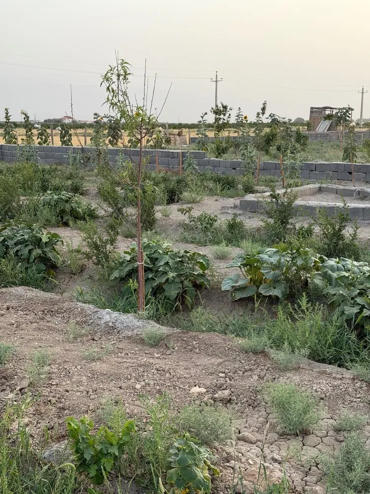 باغچه ۵۰۰ متری لوکیشن خاص
