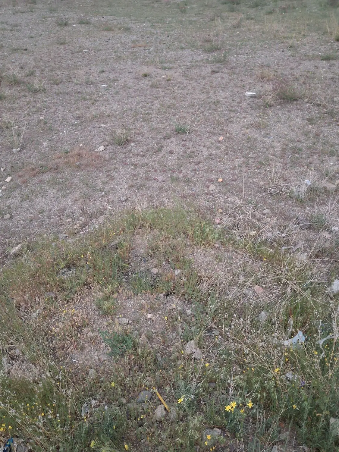زمین کشاورزی