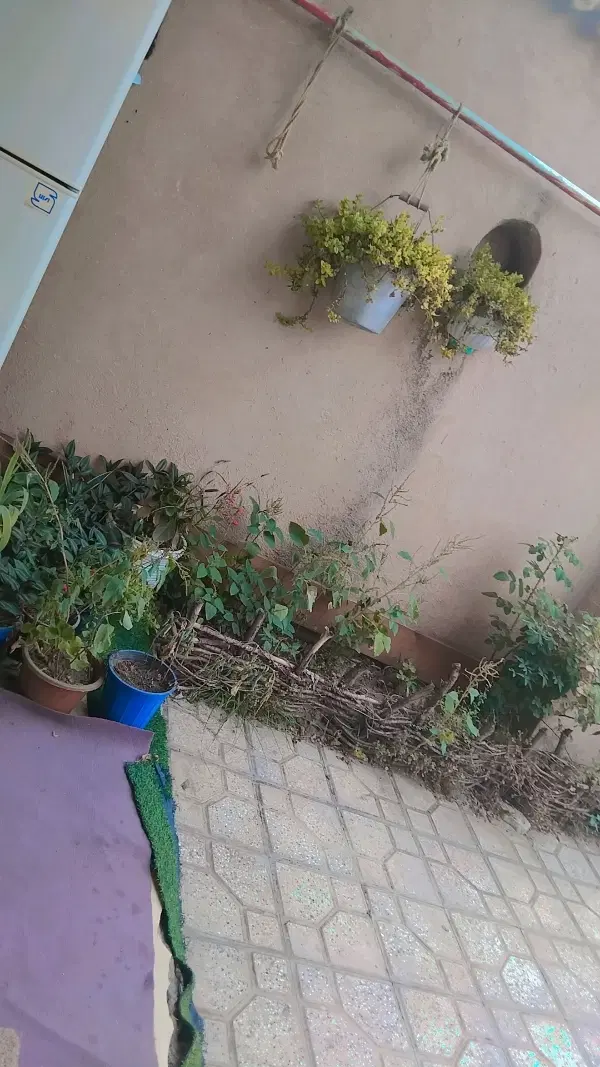 زمین مسکونی