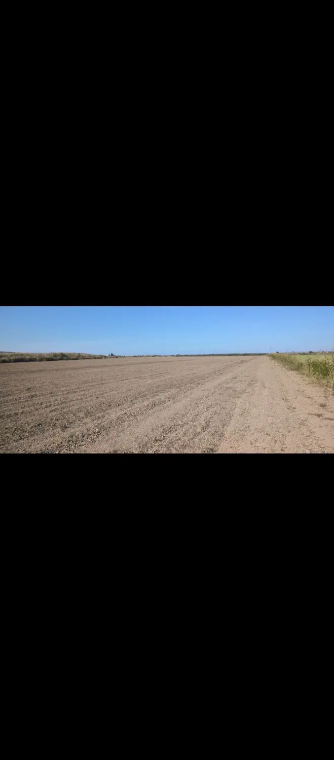 اجاره زمین  کشاورزی 8هکتار به سیر
