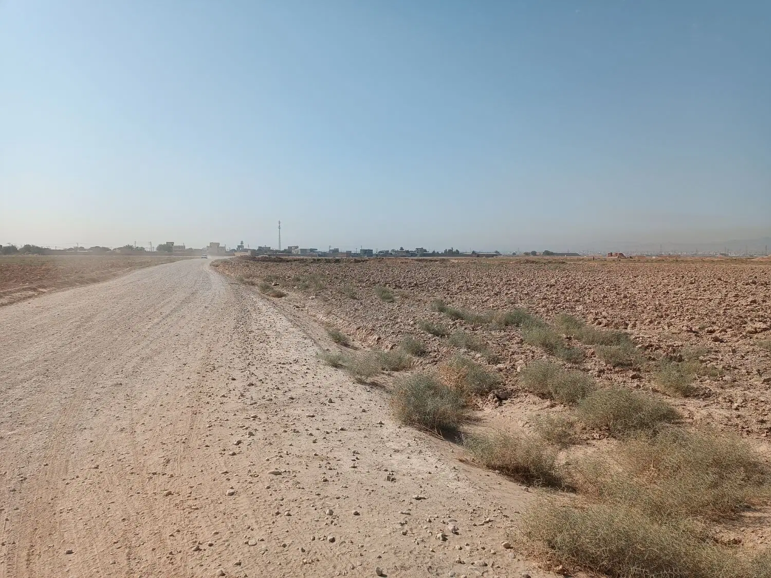 زمین باغی