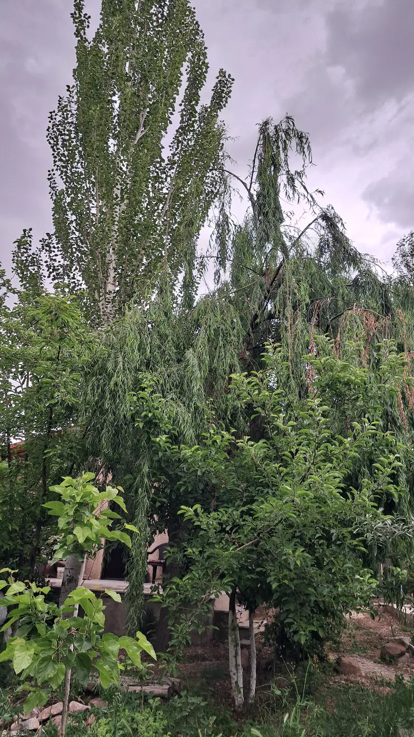 باغ ویلا _خور