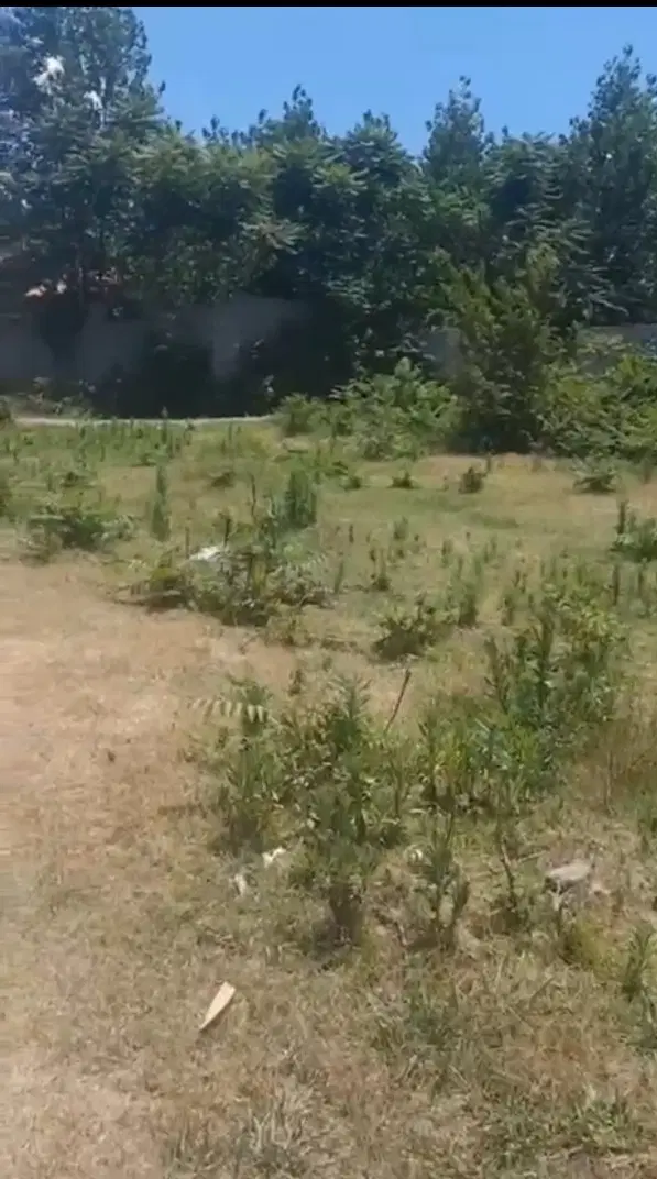 ۶۰۰ متر زمین باغی داخل طرح هادی سه بر.نامه بنیاد